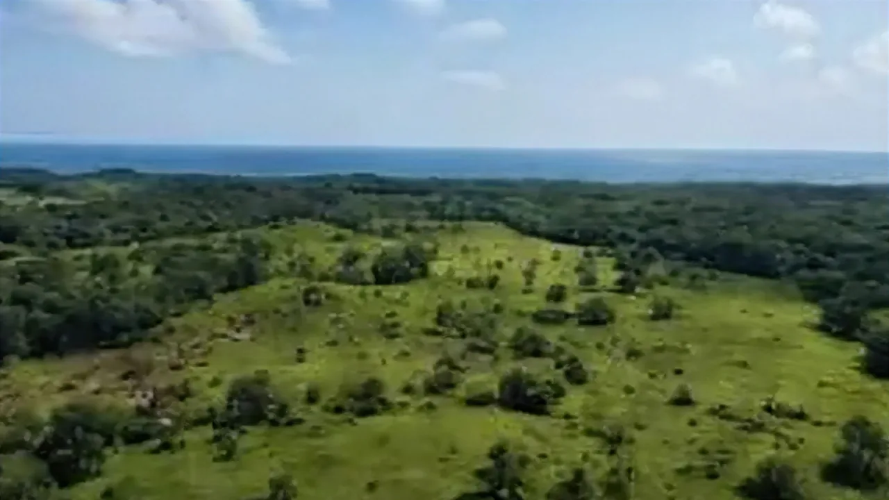 113 ha Frente al Mar Caribe en Cuanco, Colón — imagen 3