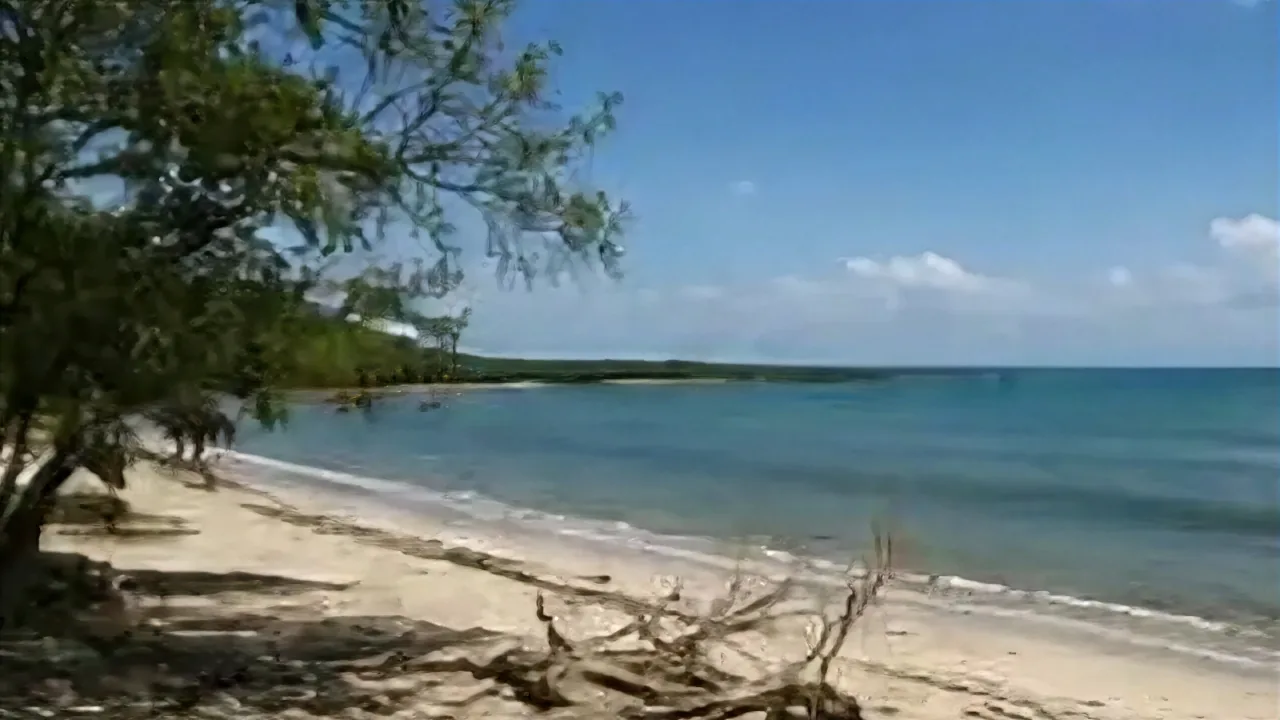 113 ha Frente al Mar Caribe en Cuanco, Colón — imagen 4