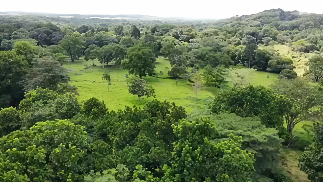113 ha Frente al Mar Caribe — Cuanco