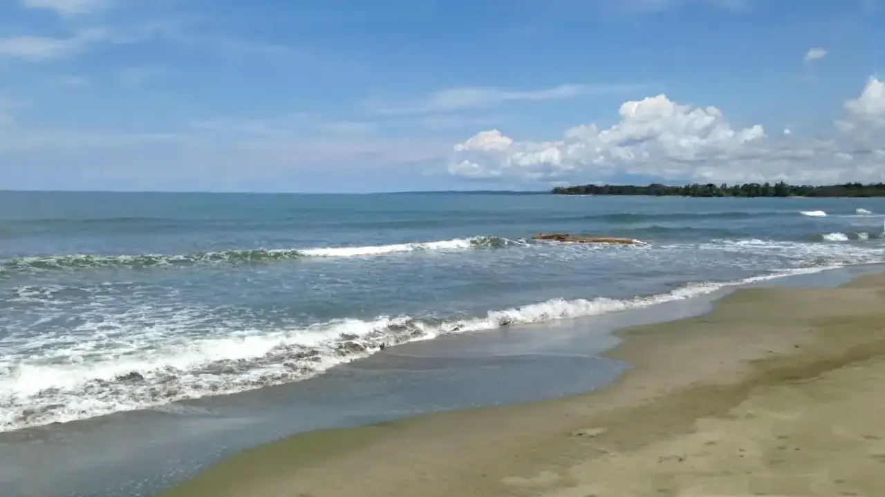 800 ha de Desarrollo Costero en el Caribe, Colón — imagen 1