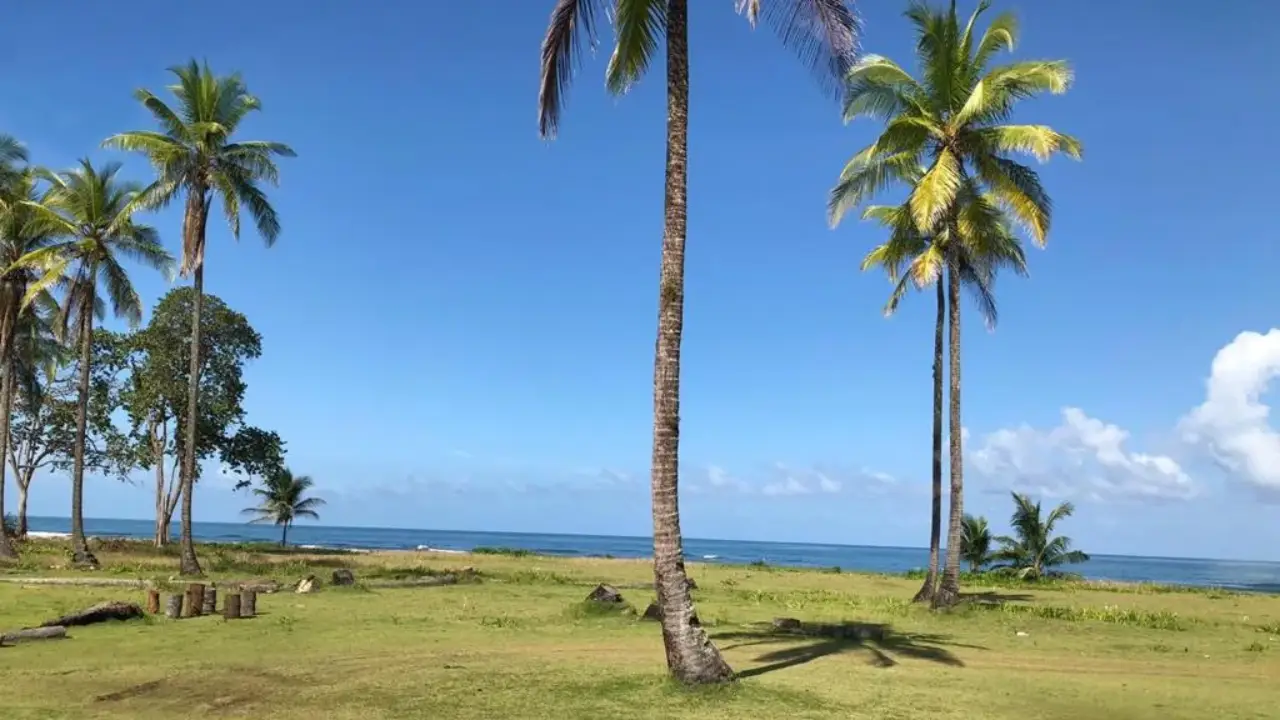 800 ha Desarrollo Costero Caribe — Colón
