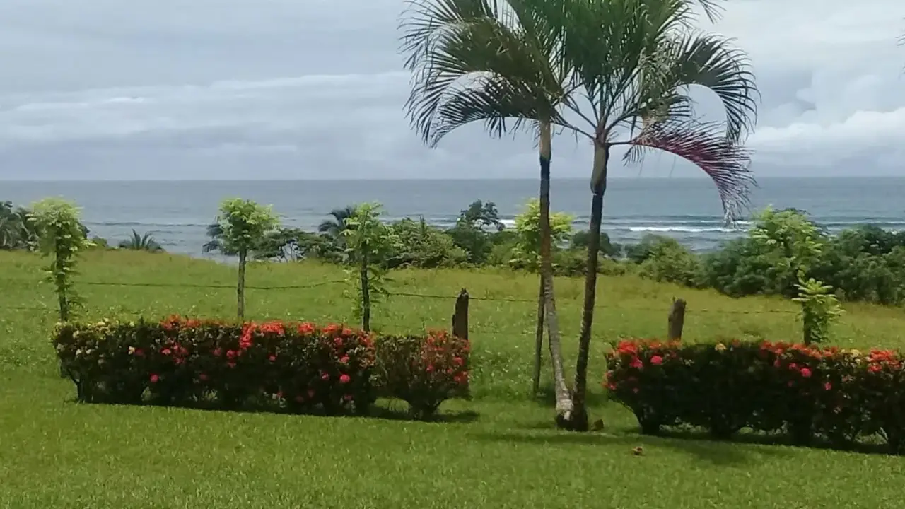200,54 ha Frente al Mar en Pedasí — imagen 4