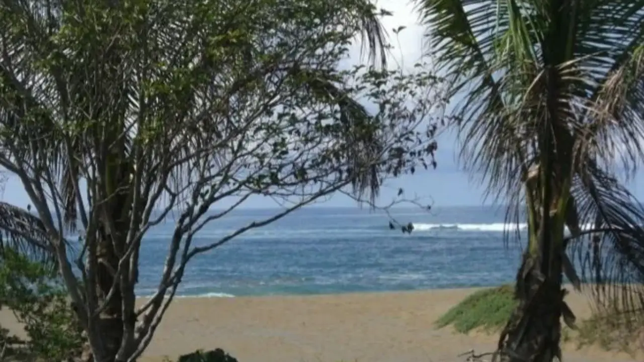 200,54 ha Frente al Mar en Pedasí — imagen 5