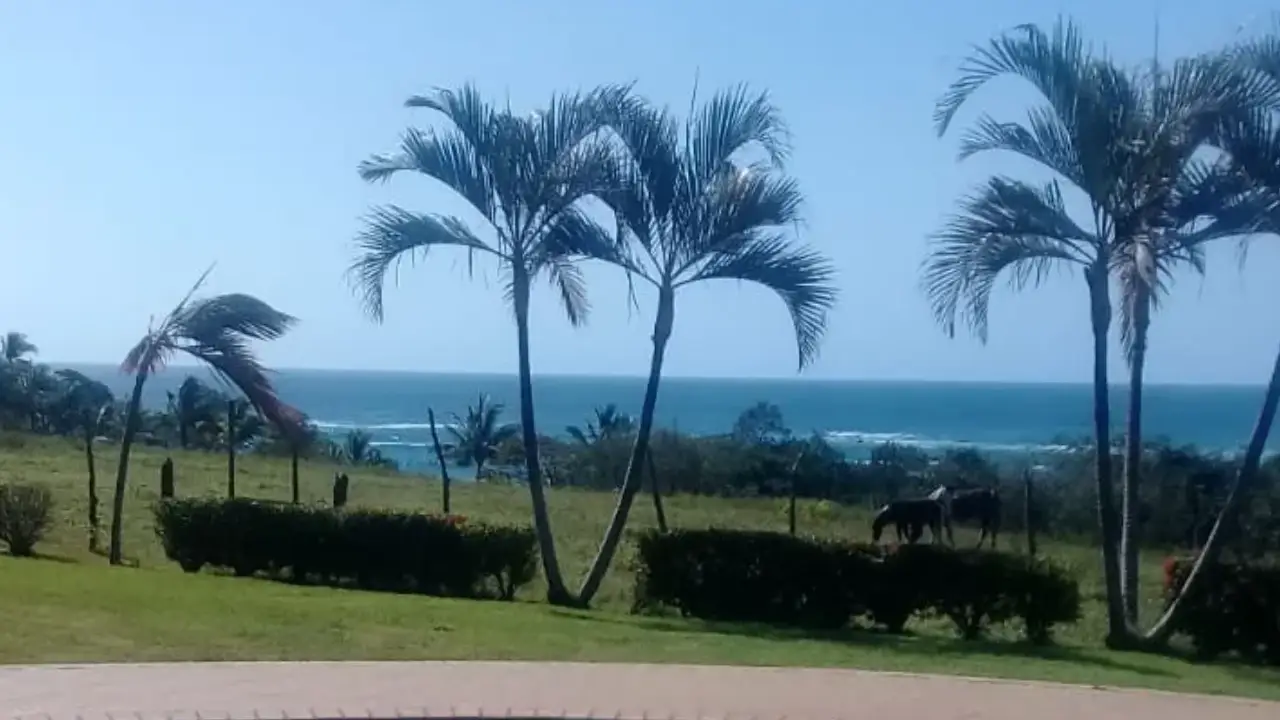 200,54 ha Frente al Mar en Pedasí — imagen 6