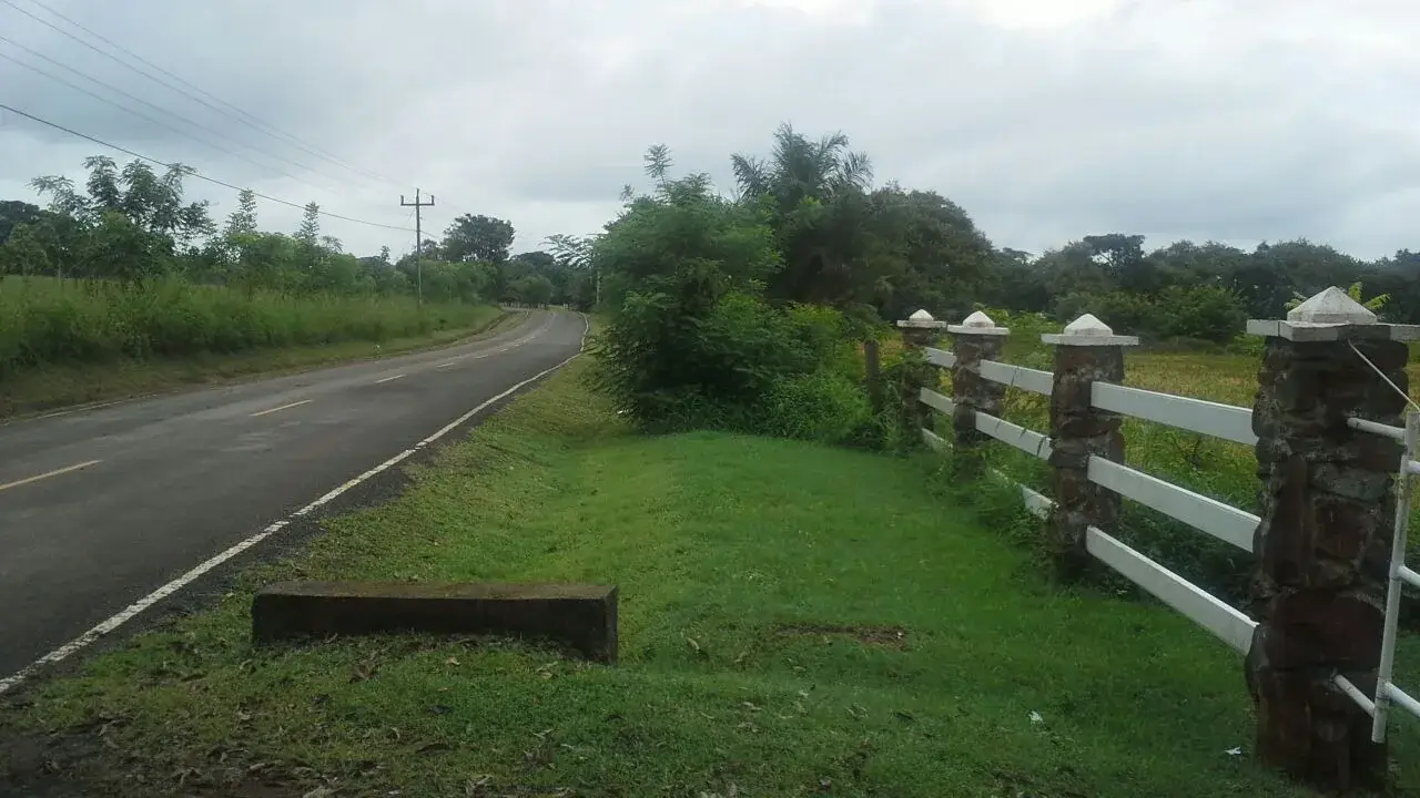 200,54 ha Frente al Mar en Pedasí — imagen 7