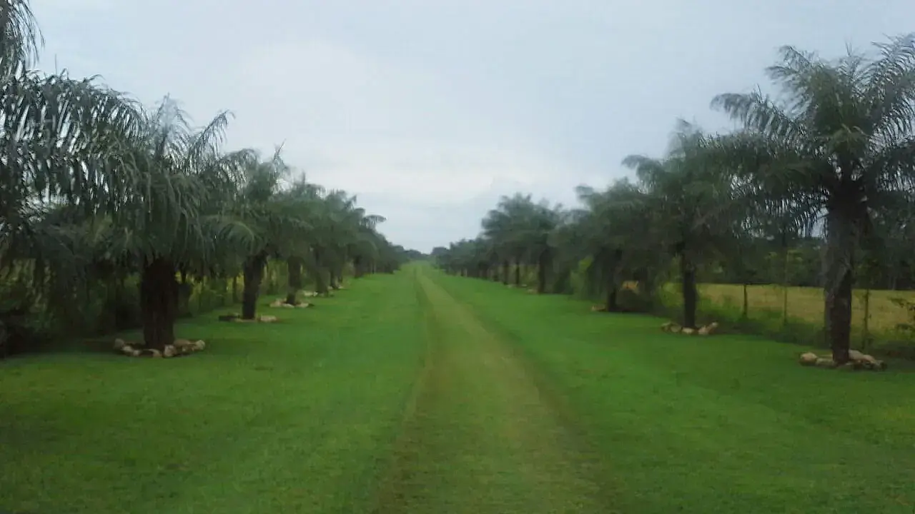 200,54 ha Frente al Mar en Pedasí — imagen 8