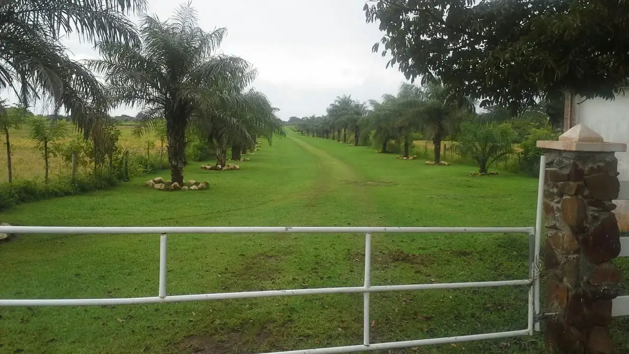 200,54 ha Frente al Mar — Pedasí