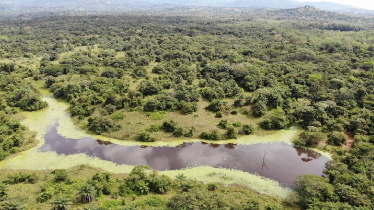 Finca con Potencial Ecológico