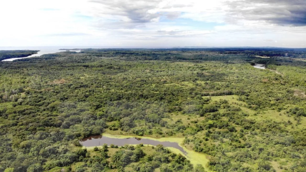 Finca Productiva con Potencial Ecológico — imagen 4: finca con potencial ecologico3