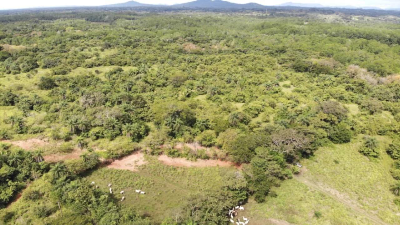 Finca Productiva con Potencial Ecológico — imagen 5: finca con potencial ecologico4