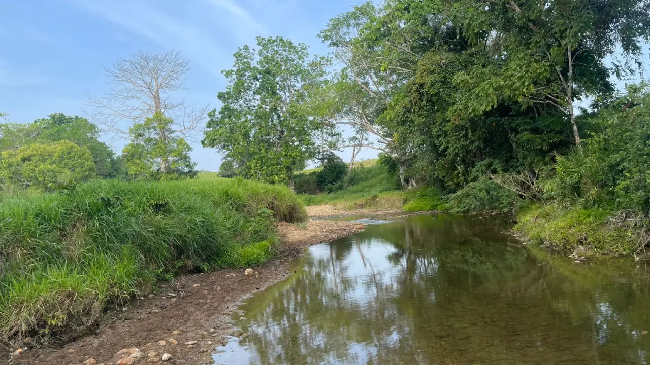 Finca de 1000 Ha. en Metetí