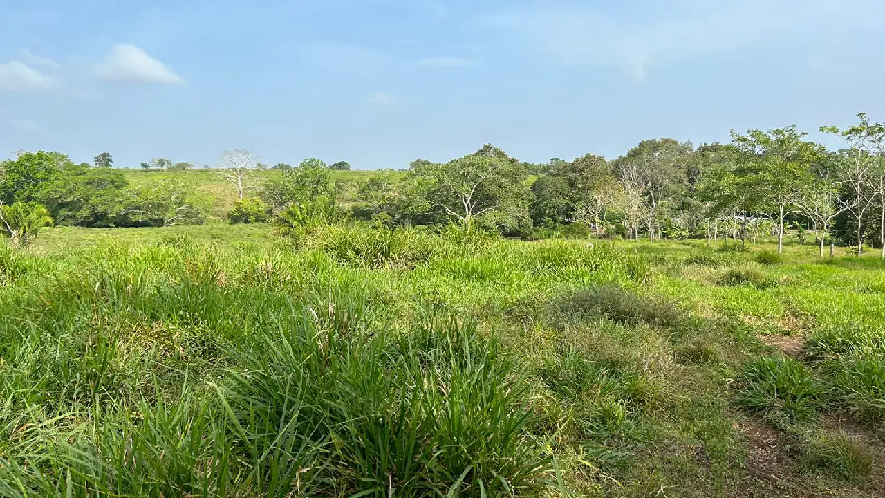 Finca de 1000 Ha. en Metetí