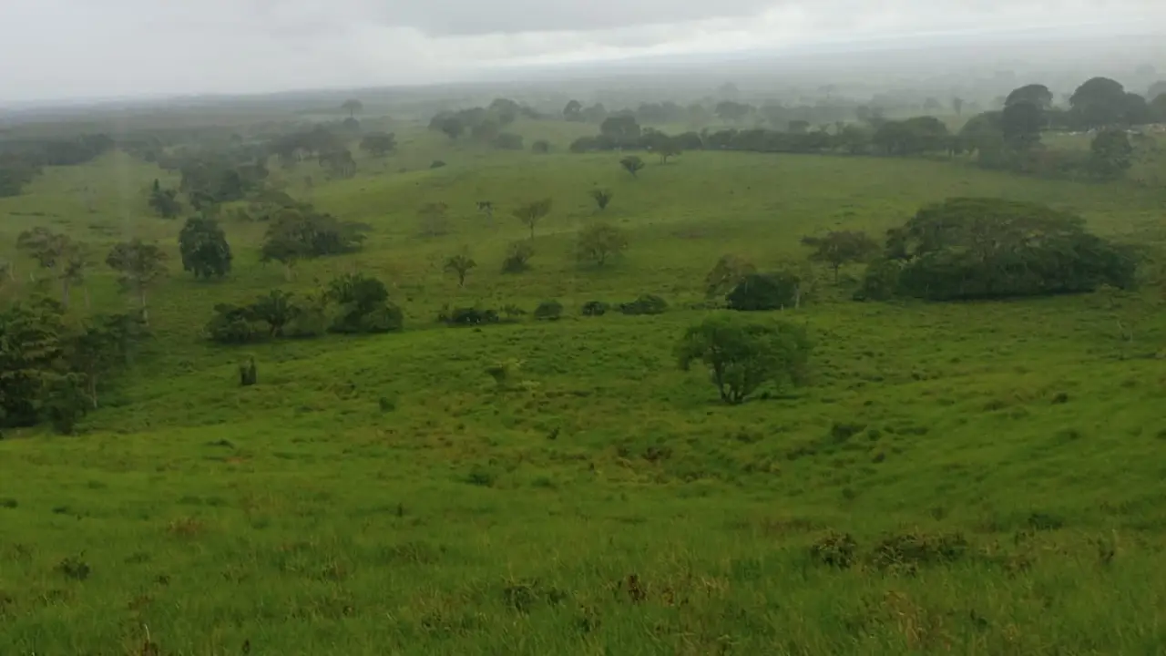 Finca de 1000 Ha. en Metetí