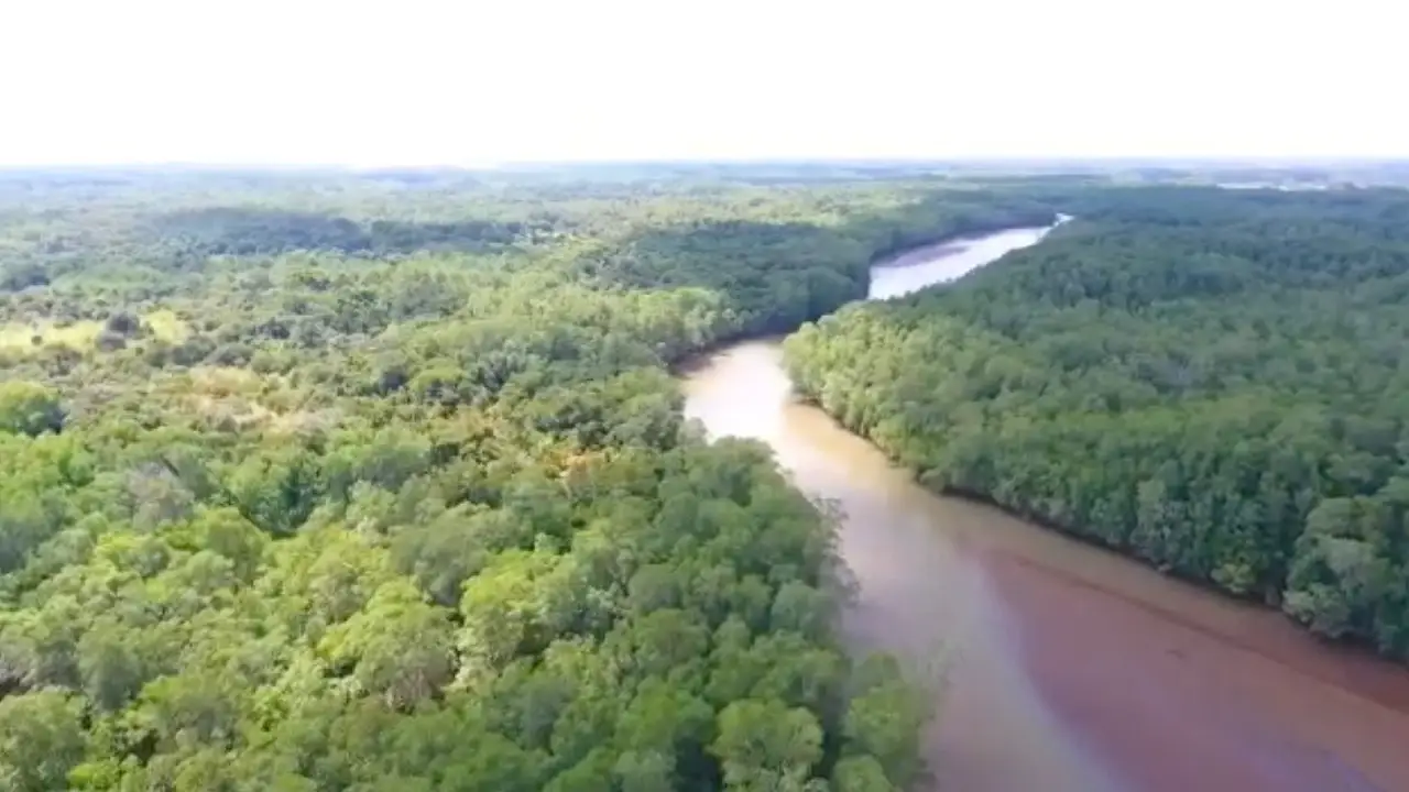 Finca Inversiones Luna