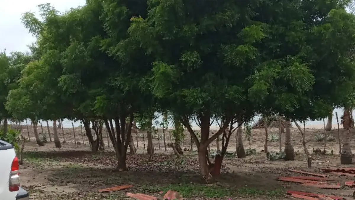 Finca Frente al Mar en Pocxrí