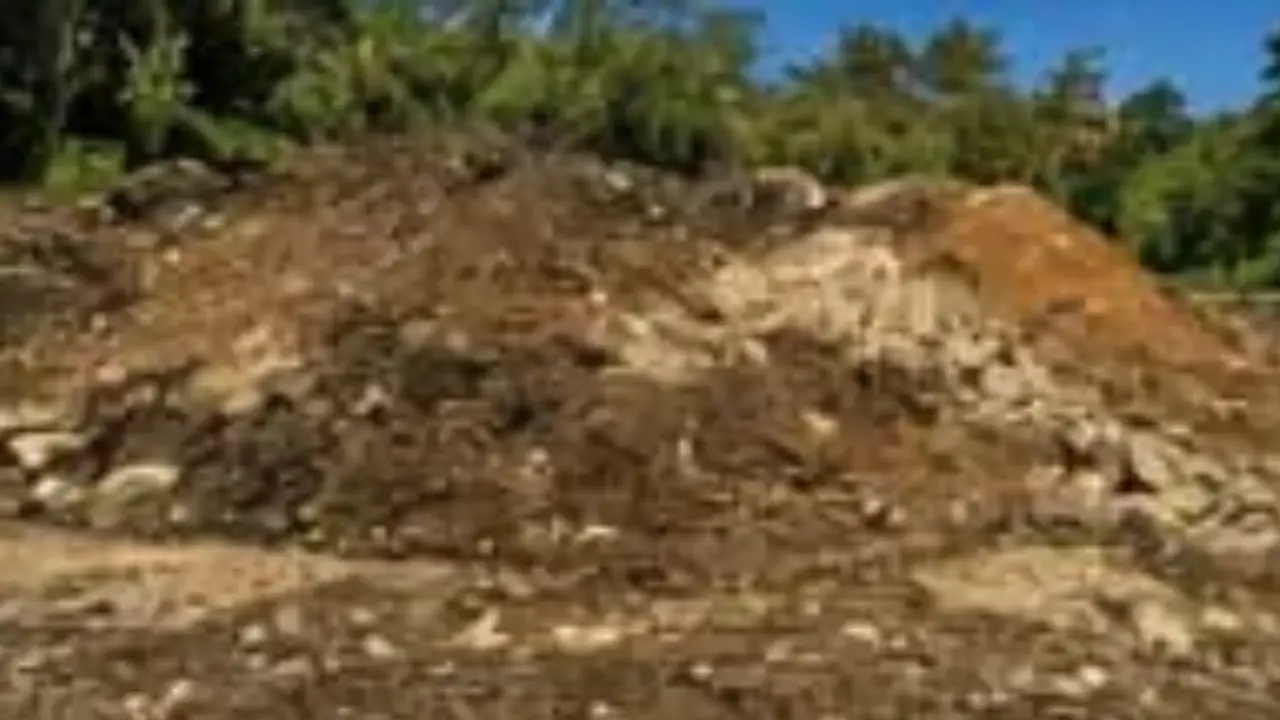 22 ha Finca Premium Agroindustrial — La Pintada