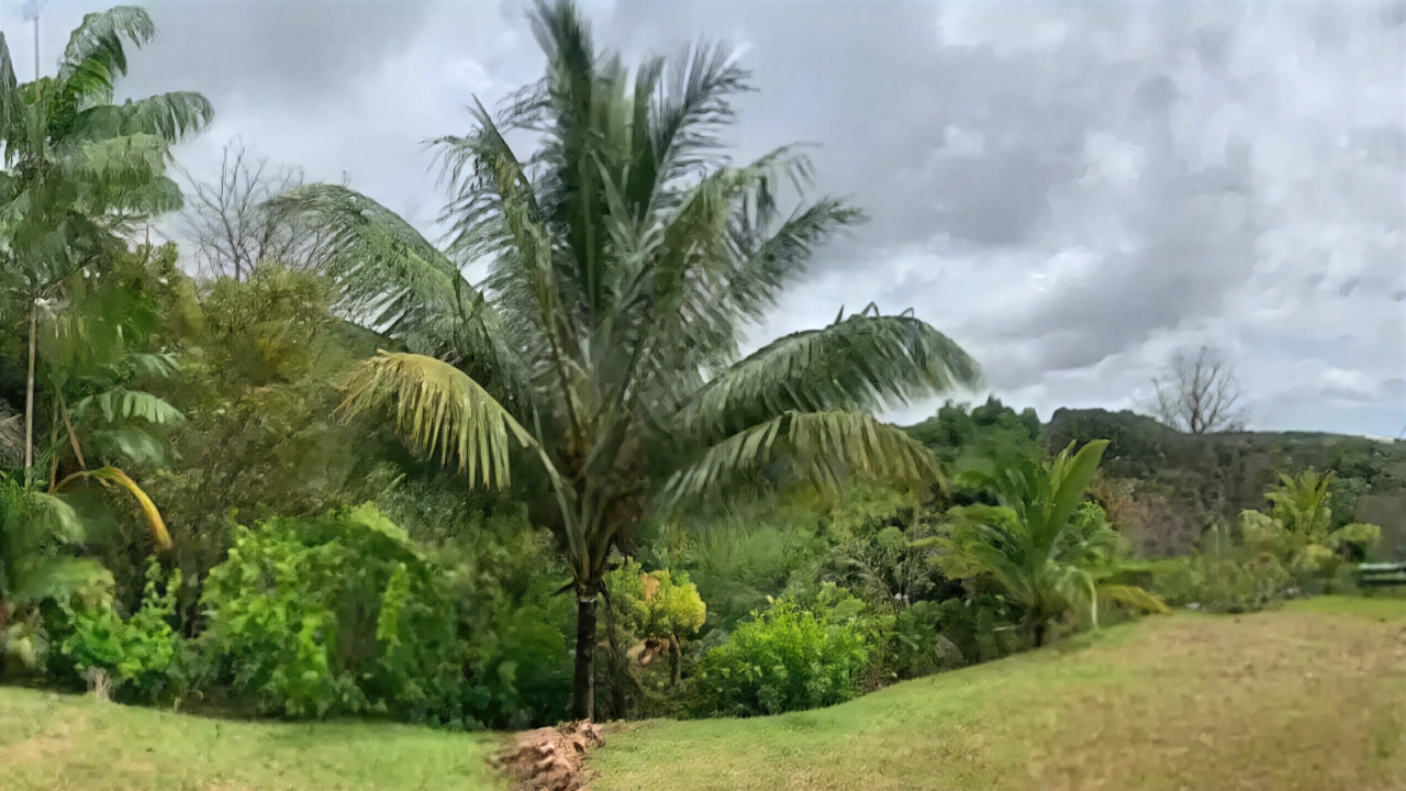 Finca Recreativa y Turística en Pajonal, Penonomé — imagen 2