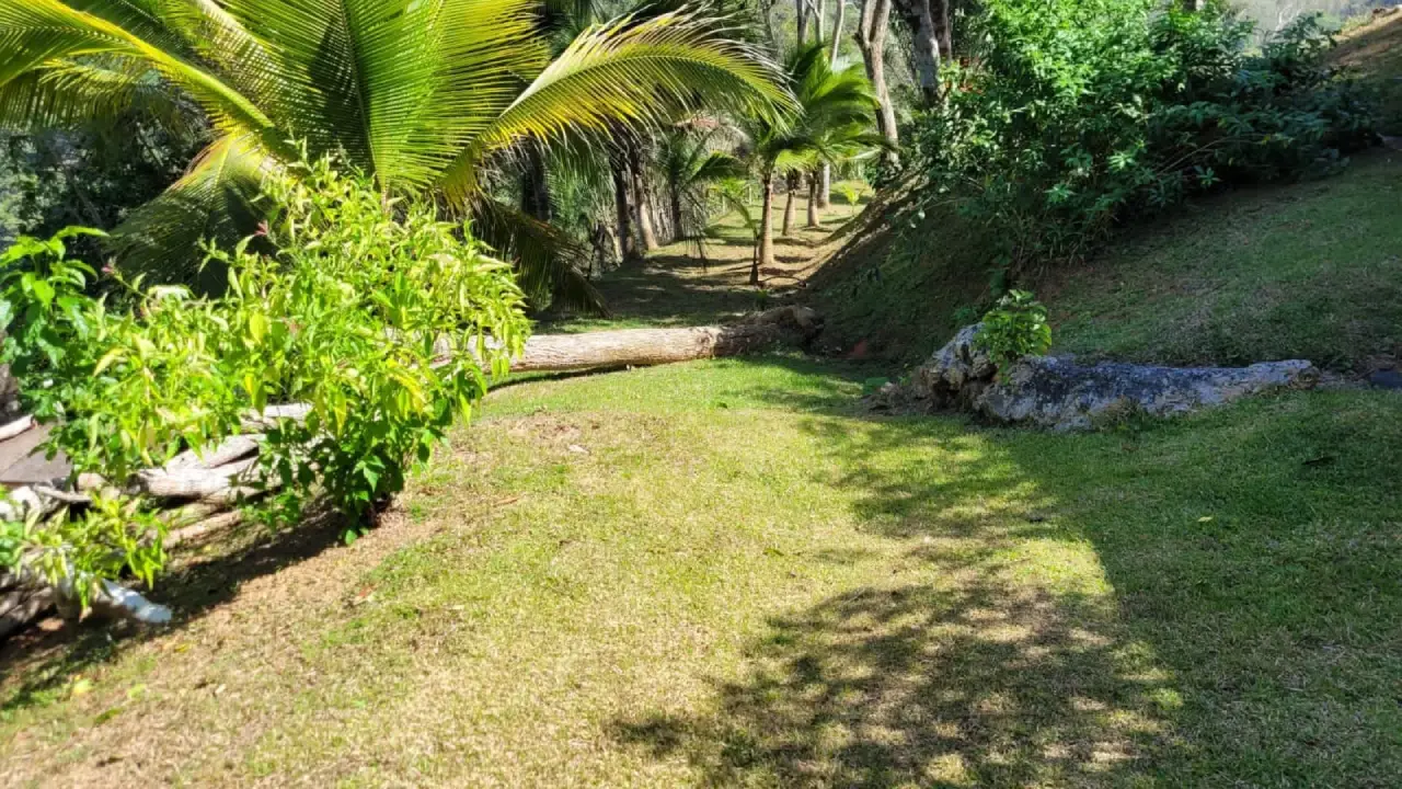 8 ha Finca Refugio en Capira — imagen 4