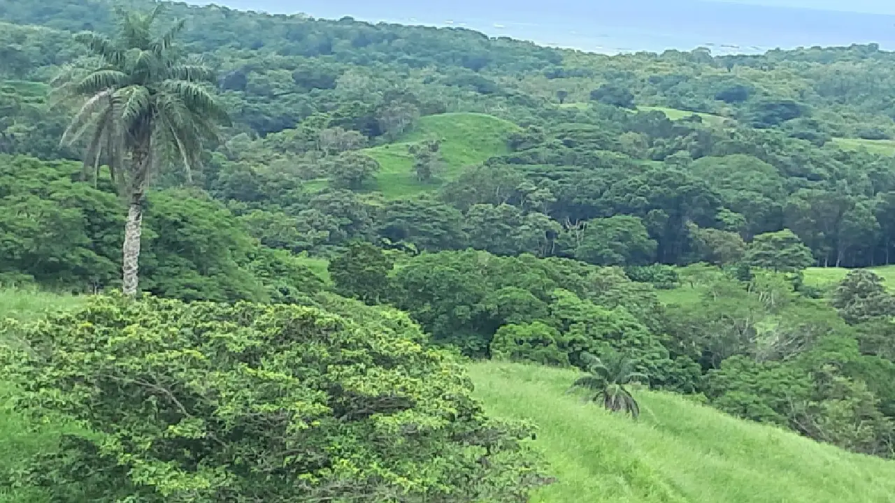 Oportunidad Exclusiva en Pedasí, 131 Ha. con Vista al Mar — imagen 2: pedasi oria