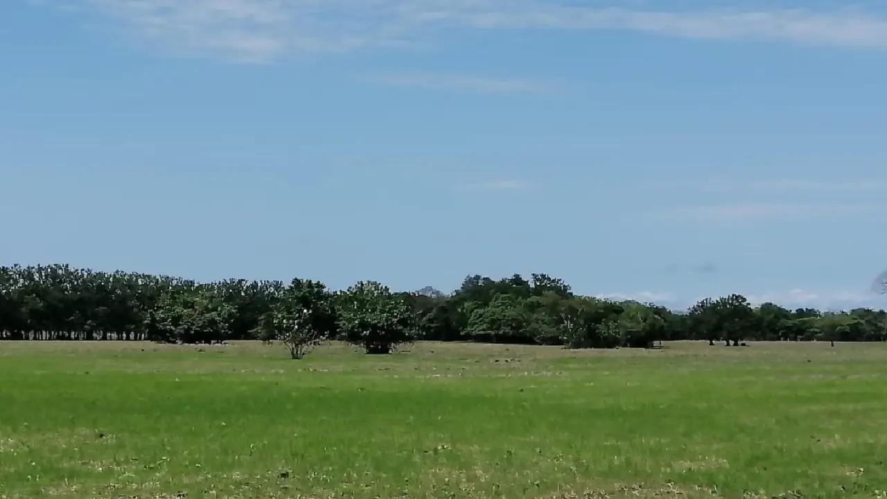 29.5-Hectare Beach Lots Located in Cambutal, La Cuchilla — image 3: beach lots in Cambutal
