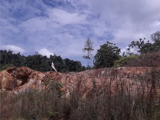 Explora el Potencial Dorado: Mina en Donoso, Colón — imagen 3: mina en colon2