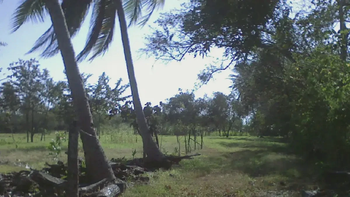 Propiedad en Juan Hombrón