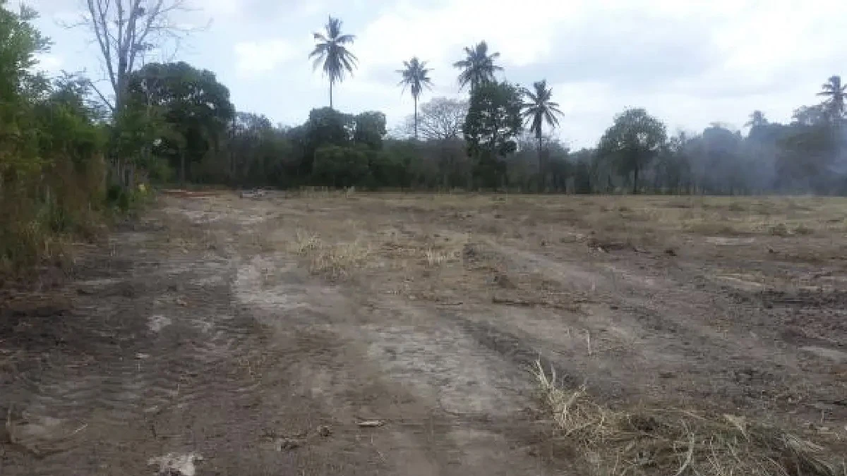 Propiedad en Juan Hombrón