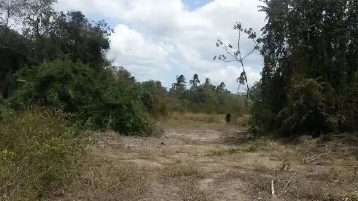 Propiedad en Juan Hombrón